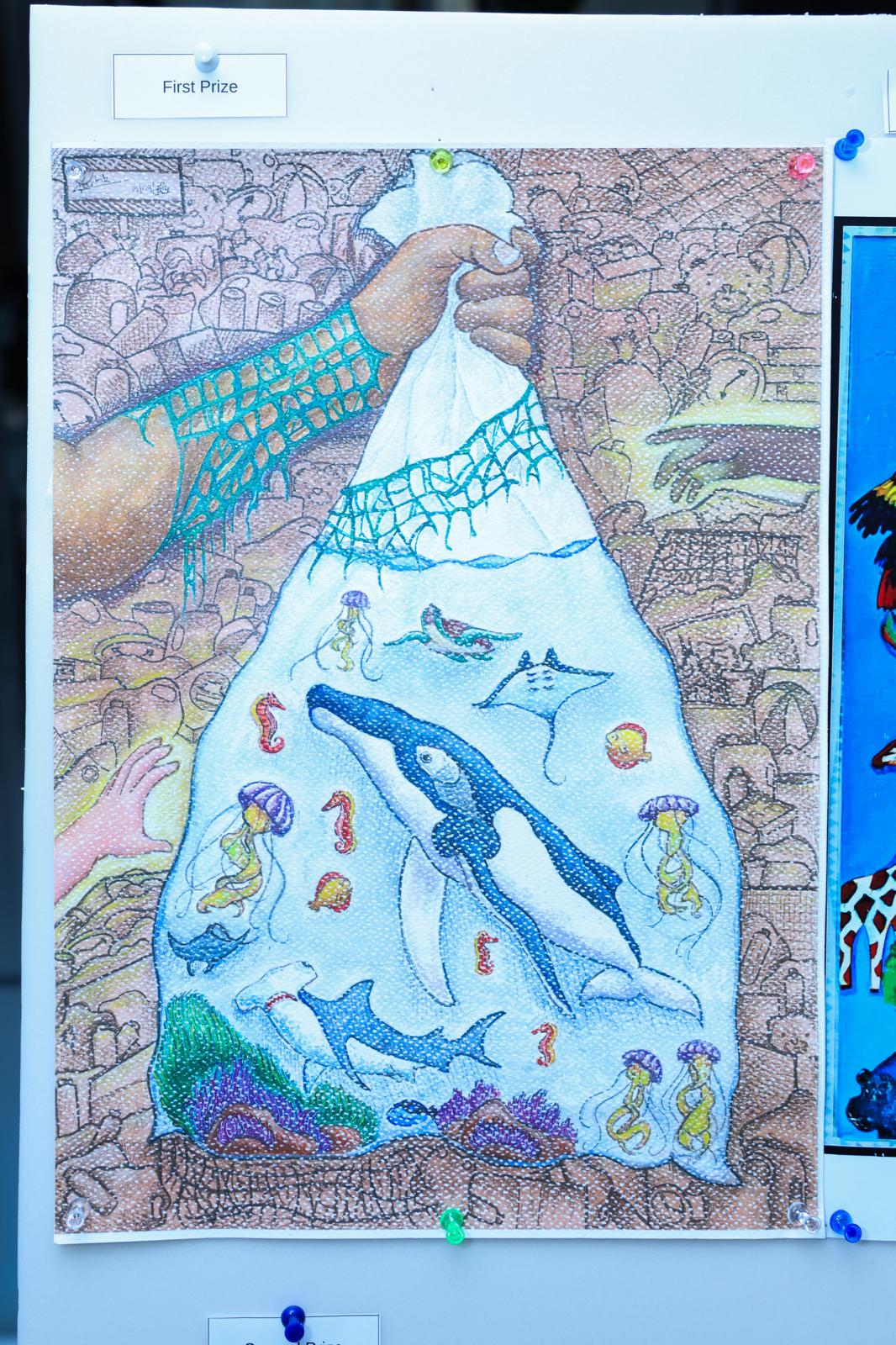 img-30
